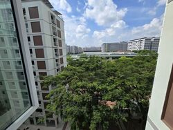 Blk 892 Tampines Avenue 8 (Tampines), HDB Executive #585615611